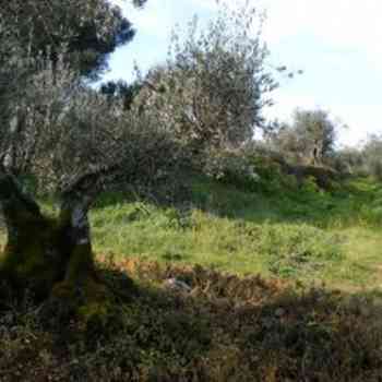 Click para ampliar. Pulsa en el nombre para ver la ficha. Eberóbriga I